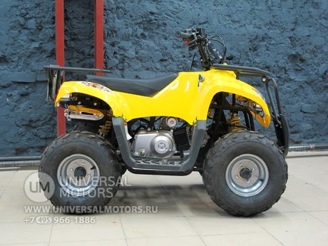 Квадроцикл Bison Mini 110 (14135614134482)