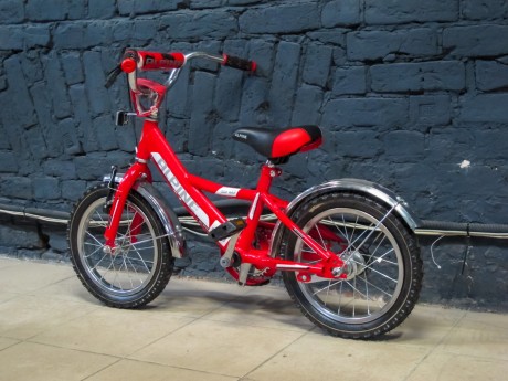 Детский велосипед Alpine Bike BASIC 14" (14619532564556)