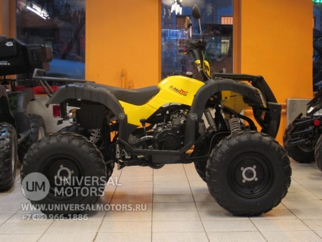 Квадроцикл Bison ATV 200сс CM (14248042050063)