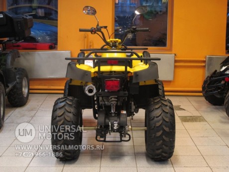 Квадроцикл Bison ATV 200сс CM (14248042569175)