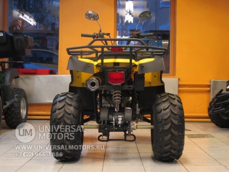 Квадроцикл Bison ATV 200сс CM (14248042582129)