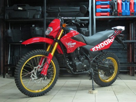 Мотоцикл TMEC Enduro 200 (14498614385999)