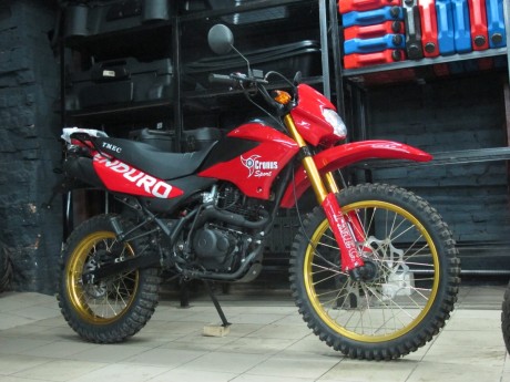 Мотоцикл TMEC Enduro 200 (1449861441217)