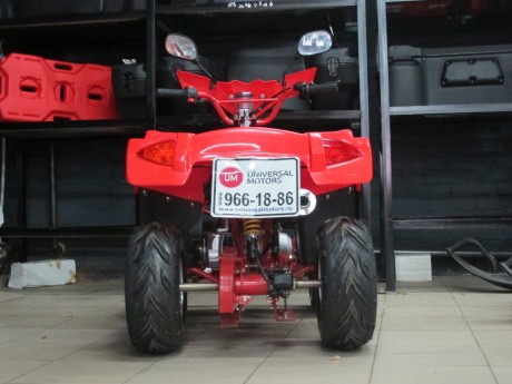 Квадроцикл BISON ATV 125-23 (14404427242172)