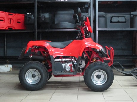 Квадроцикл BISON ATV 125-23 (14404427276811)