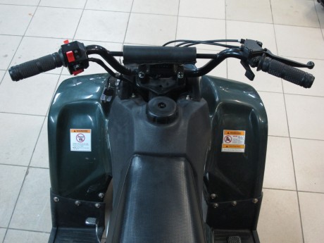 Квадроцикл ATV Kazuma Lacosta 110 (14461346997414)