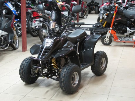 Квадроцикл Bison ATV A-07 110 cc (14556357169931)