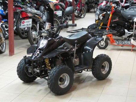 Квадроцикл Bison ATV A-07 110 cc (14556357180222)