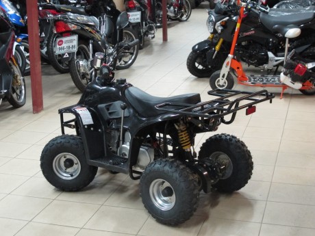 Квадроцикл Bison ATV A-07 110 cc (1455635720267)