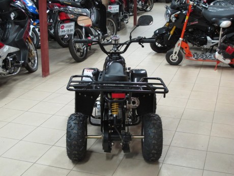 Квадроцикл Bison ATV A-07 110 cc (14556357218229)