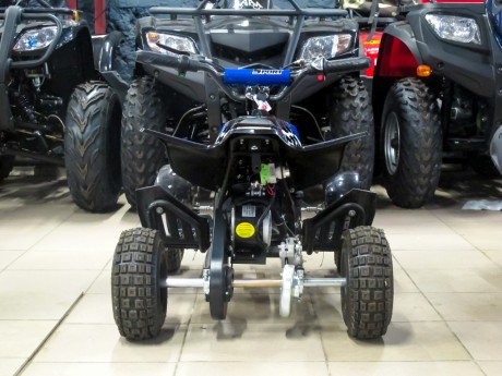 Квадроцикл Bison Electro ATV 500 MX (14679860549537)