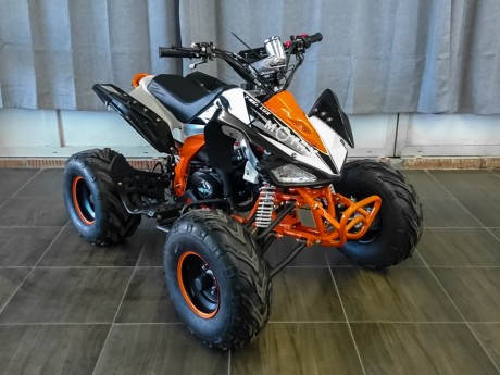 Квадроцикл бензиновый MOTAX ATV    T-Rex LUX 125 cc (14915546918446)