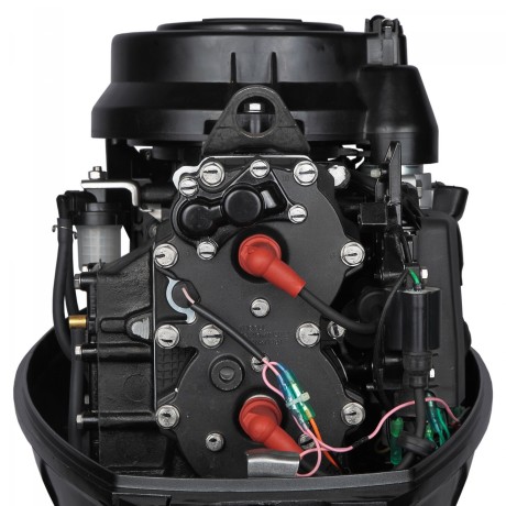 Лодочный мотор MARLIN MP 40 AERTS (14854306994255)