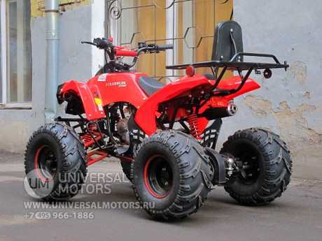 Квадроцикл Bison 125 Super Sport (14110429851232)