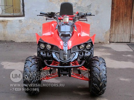 Квадроцикл Bison 125 Super Sport (14110429930234)