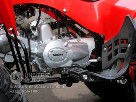 Квадроцикл Bison 125 Super Sport (14110430073452)