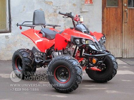 Квадроцикл Bison 125 Super Sport (14110430082063)