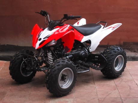 Bison ATV 200 S NEW (15238945595837)