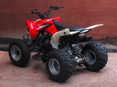 Bison ATV 200 S NEW (15238945612664)
