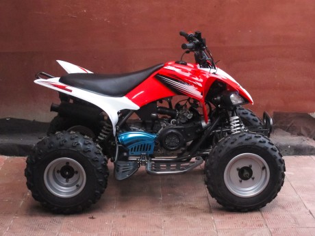 Bison ATV 200 S NEW (15238945638032)