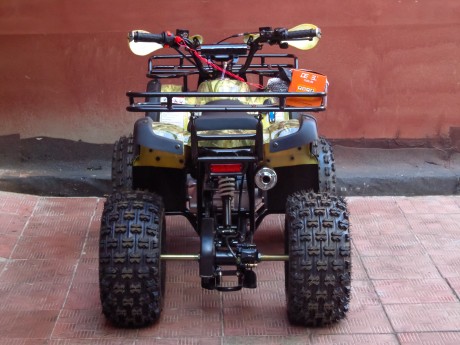  Квадроцикл Bison 125 Fox (15300393525007)