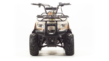 Квадроцикл Bison ATV 110 Rider 2018 (15331207383631)