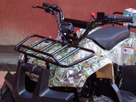 Квадроцикл Bison ATV 110 Rider 2018 (15333160324145)