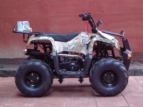 Квадроцикл Bison ATV 110 Rider 2018 (15333160375921)