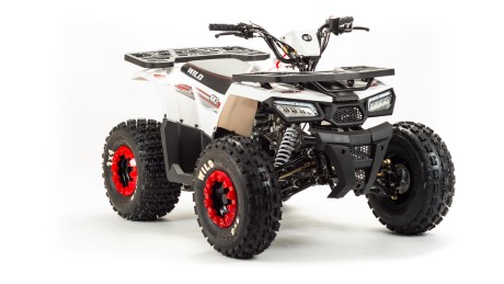 Квадроцикл Bison ATV 125 Wild 2018 (15331215327652)