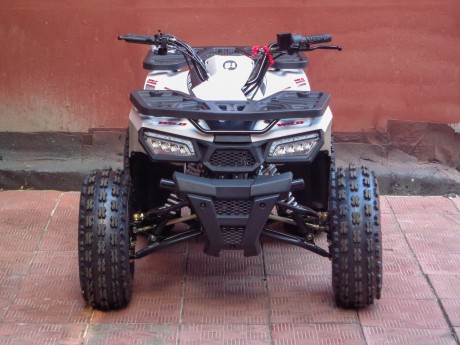 Квадроцикл Bison ATV 125 Wild 2018 (15333160538567)