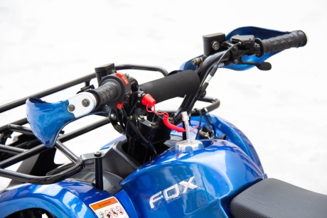 Квадроцикл Motoland FOX 125 (16161526871376)