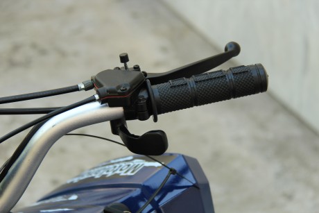 Квадроцикл Motoland COYOTE 125 (15916423124381)