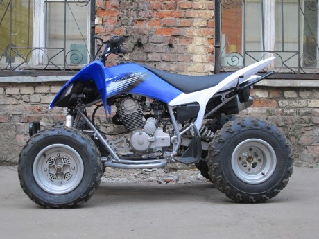 Квадроцикл Motoland 250S (15820374188908)