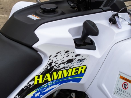 Квадроцикл RMoto HAMMER - 200L NEW (с лебедкой 300lbs) (15791821309207)