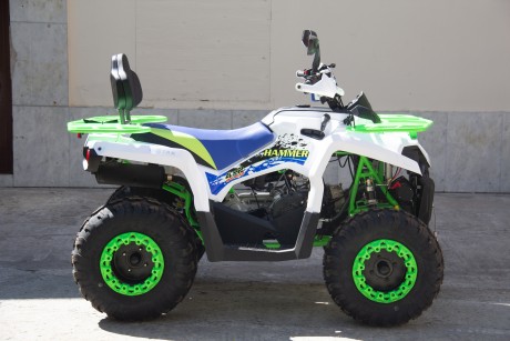 Квадроцикл бензиновый MOTAX ATV Grizlik 200 NEW (16207191104747)