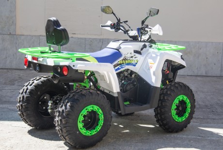 Квадроцикл бензиновый MOTAX ATV Grizlik 200 NEW (1620719112965)