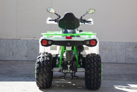 Квадроцикл бензиновый MOTAX ATV Grizlik 200 NEW (16207191138052)