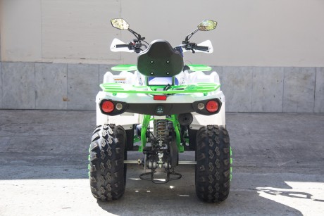 Квадроцикл бензиновый MOTAX ATV Grizlik 200 NEW (16207191147762)
