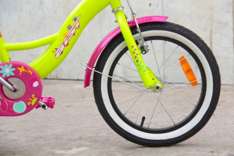 Велосипед детский AIST Lilo 16 (16527756172795)
