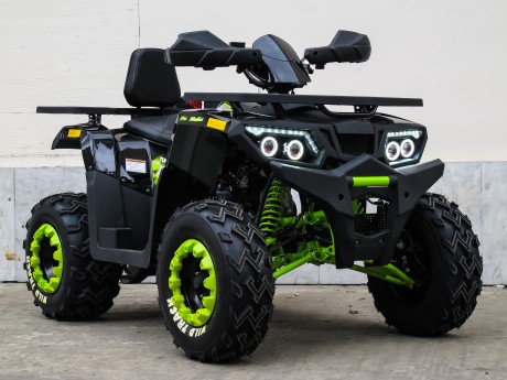 Квадроцикл Motoland WILD TRACK LUX 200 (15847301469732)