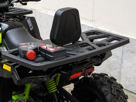 Квадроцикл Motoland WILD TRACK LUX 200 (15847301520629)