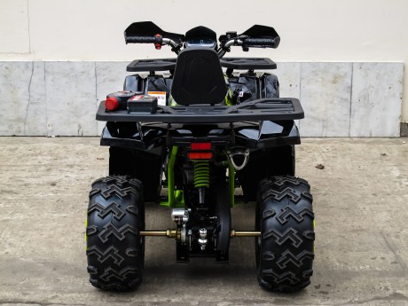 Квадроцикл Motoland WILD TRACK LUX 200 (15847301547041)