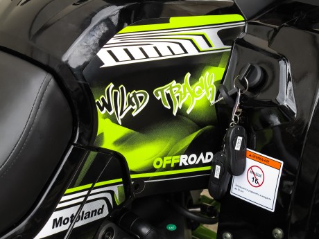Квадроцикл Motoland WILD TRACK LUX 200 (15847301562377)