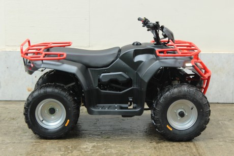 Квадроцикл IRBIS ATV 250U NEW 2020 с ПСМ (15911833669318)