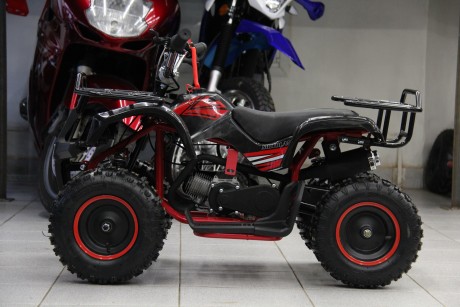 Квадроцикл Motoland ATV 50 MINI (16081220790056)