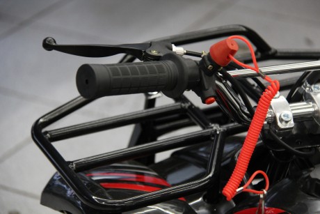 Квадроцикл Motoland ATV 50 MINI (16081220817038)