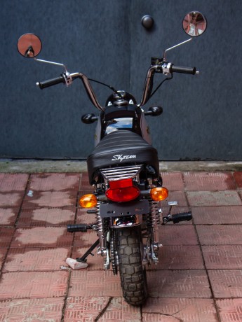 Мотоцикл SkyTeam Gorilla Monkey ST125-8A (2011) (15898277713162)