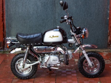 Мотоцикл SkyTeam Gorilla Monkey ST125-8A (2011) (15898277752023)