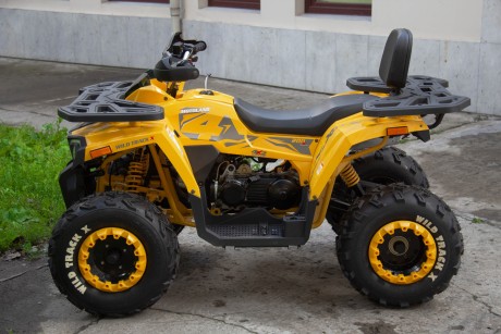 Квадроцикл Motoland 200 WILD TRACK X (2020) (15954965769011)