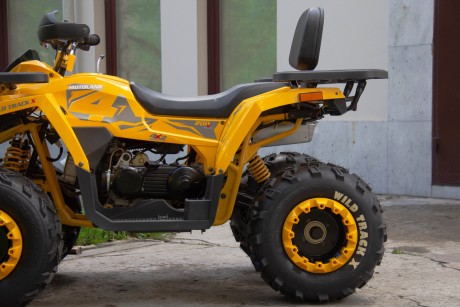 Квадроцикл Motoland 200 WILD TRACK X (2020) (15954965776523)